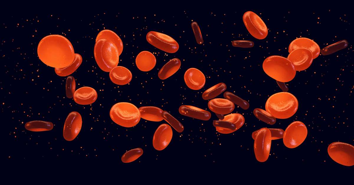 Scientists discover a new blood group after 50 years of mystery