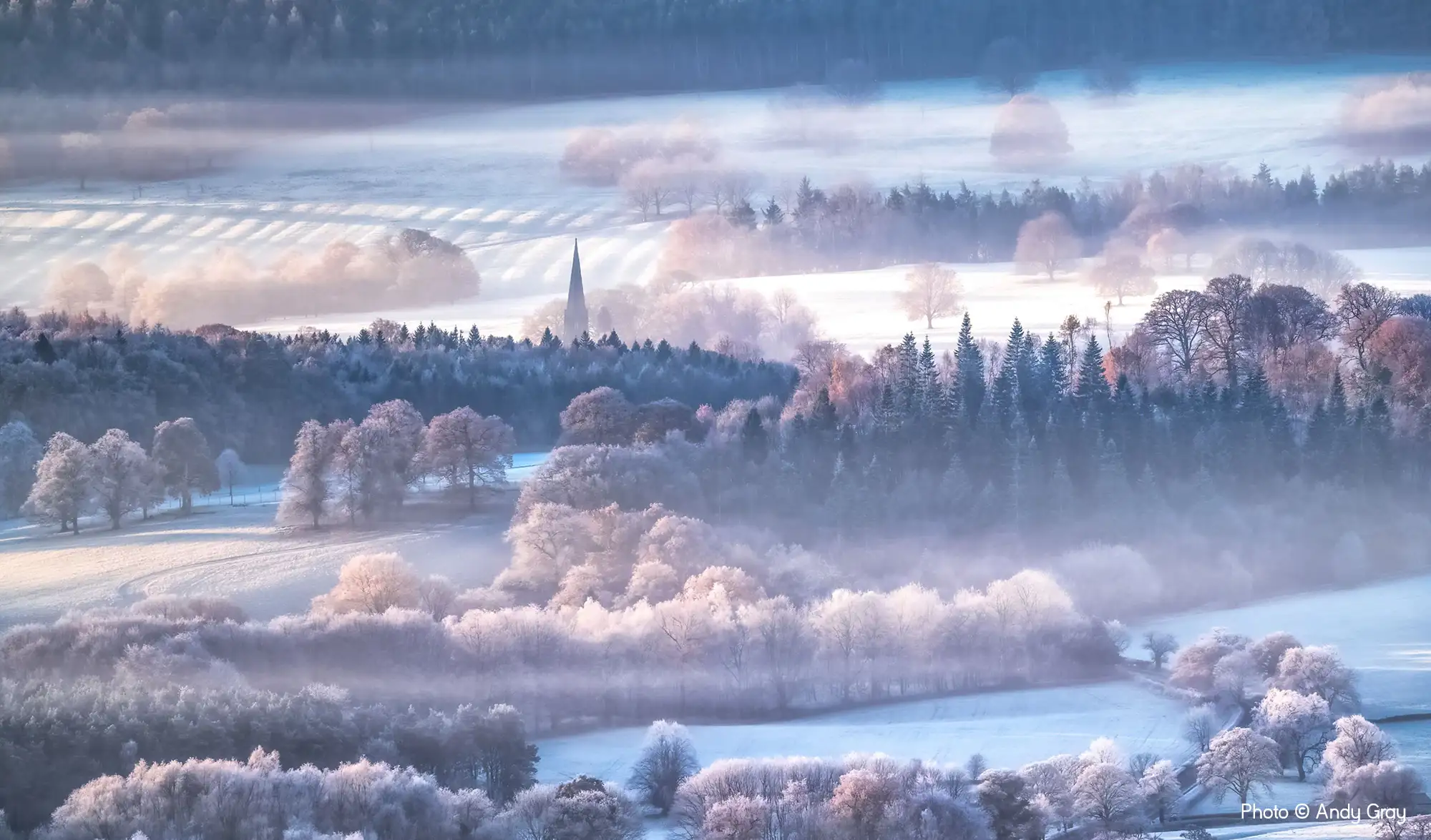 2 2nd Place AD551 Hoarfrost Heaven, Andy Gray