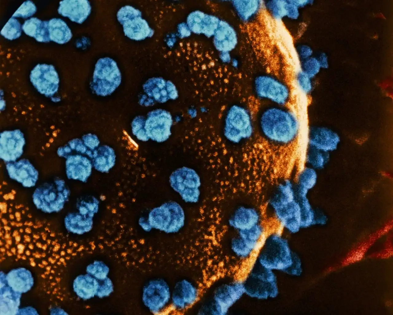 Insulina en azul