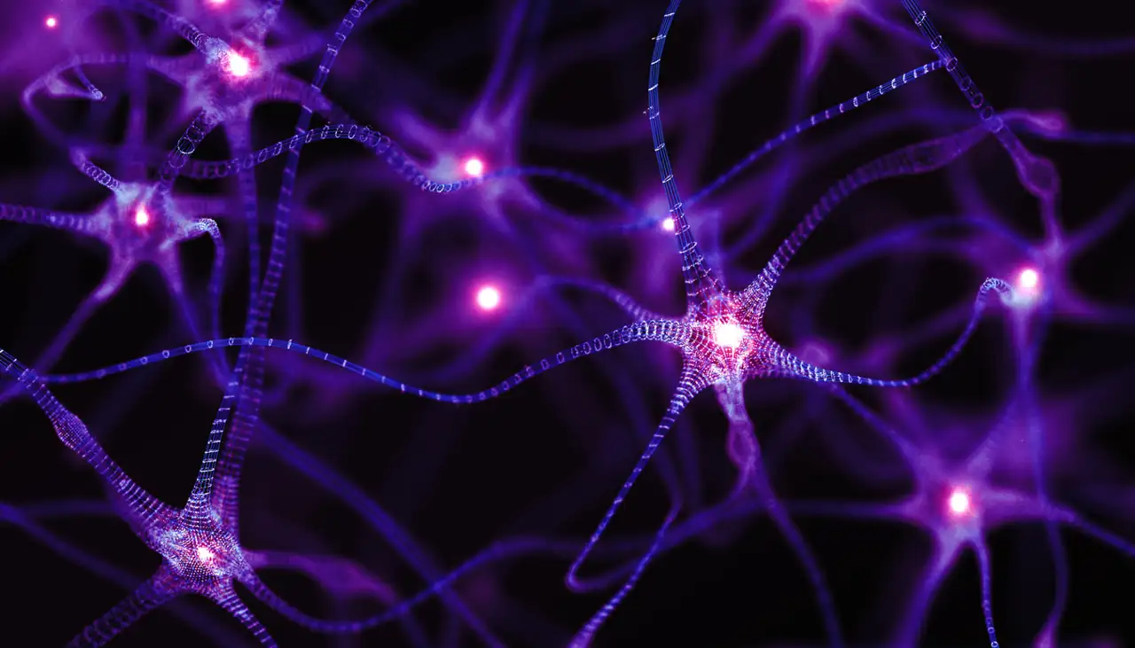 Redes neuronales artificiales