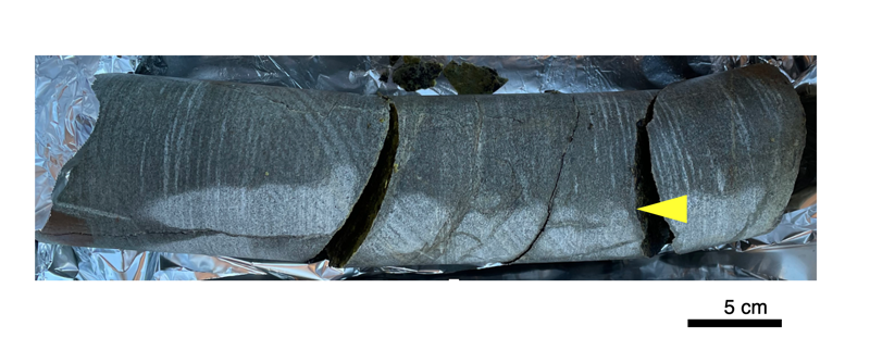 Una roca de 2.000 millones de años alberga microbios vivos