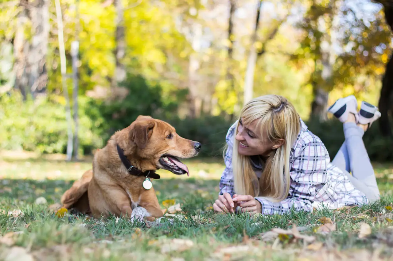 Hablar a los perros (iStock, Sanjagrujic)