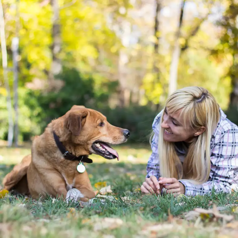 Hablar a los perros (iStock, Sanjagrujic)