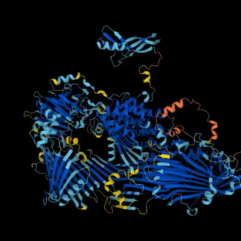 Proteína vitelogenina