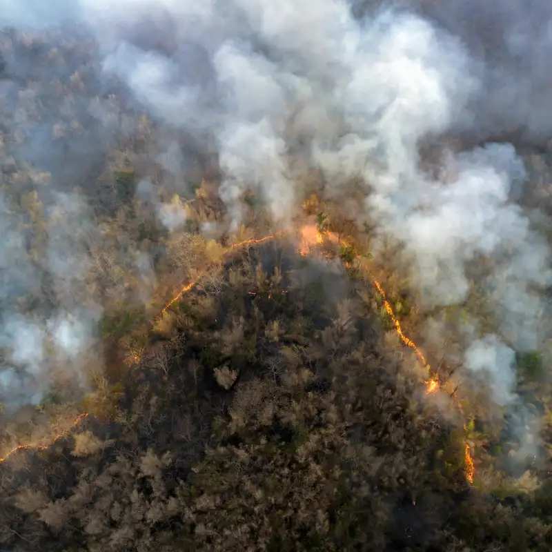 La mayor parte de los incendios en el Amazonas siguen siendo provocados