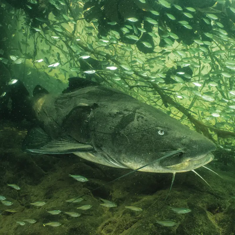 «Nadie conoce este lugar»: bienvenidos al remoto nacimiento del río Secure