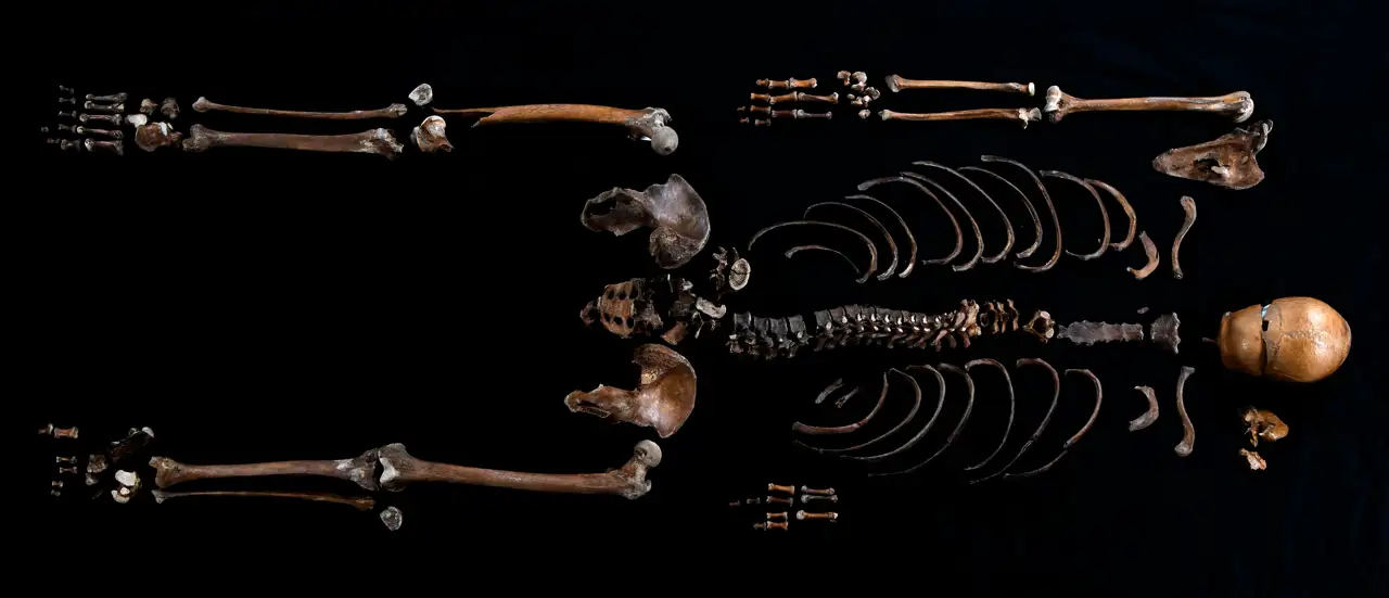 Esqueleto del vikingo en fondo negro
