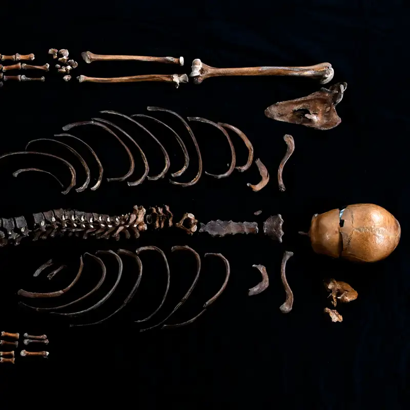 Una saga noruega cuenta que arrojaron un vikingo a un pozo en 1197: La ciencia lo confirma 800 años después