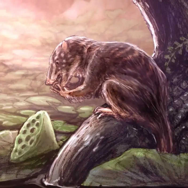 Descubren un 'habitante de los pantanos' que vivió junto a los dinosaurios