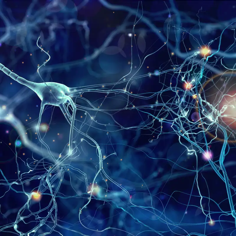 El modelo inspirado en las neuronas que dio a luz a la IA y se llevó un Nobel