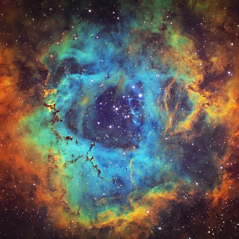 nebulosa roseta