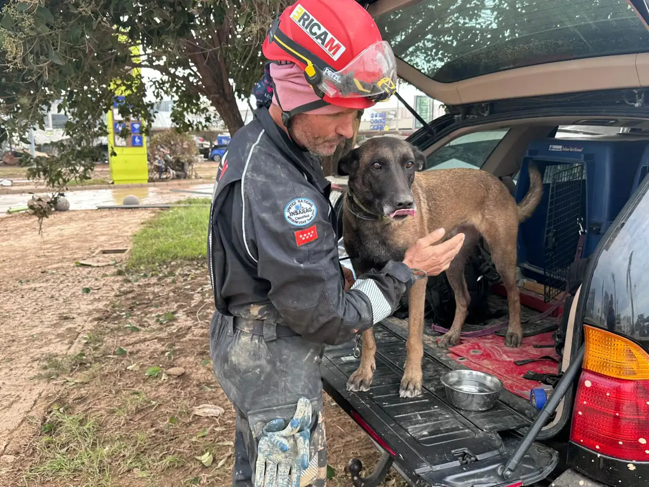 Perros DANA (Escuela Española de Salvamento y Detección con Perros)