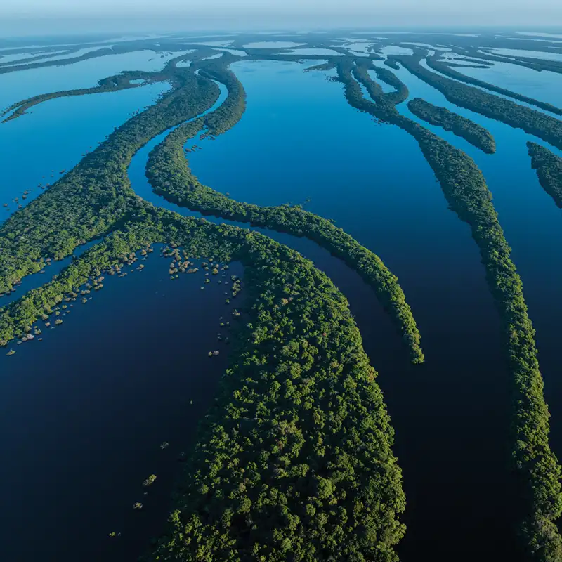 Lecciones de ecología: las prácticas ancestrales de las comunidades ribereñas para proteger el Amazonas