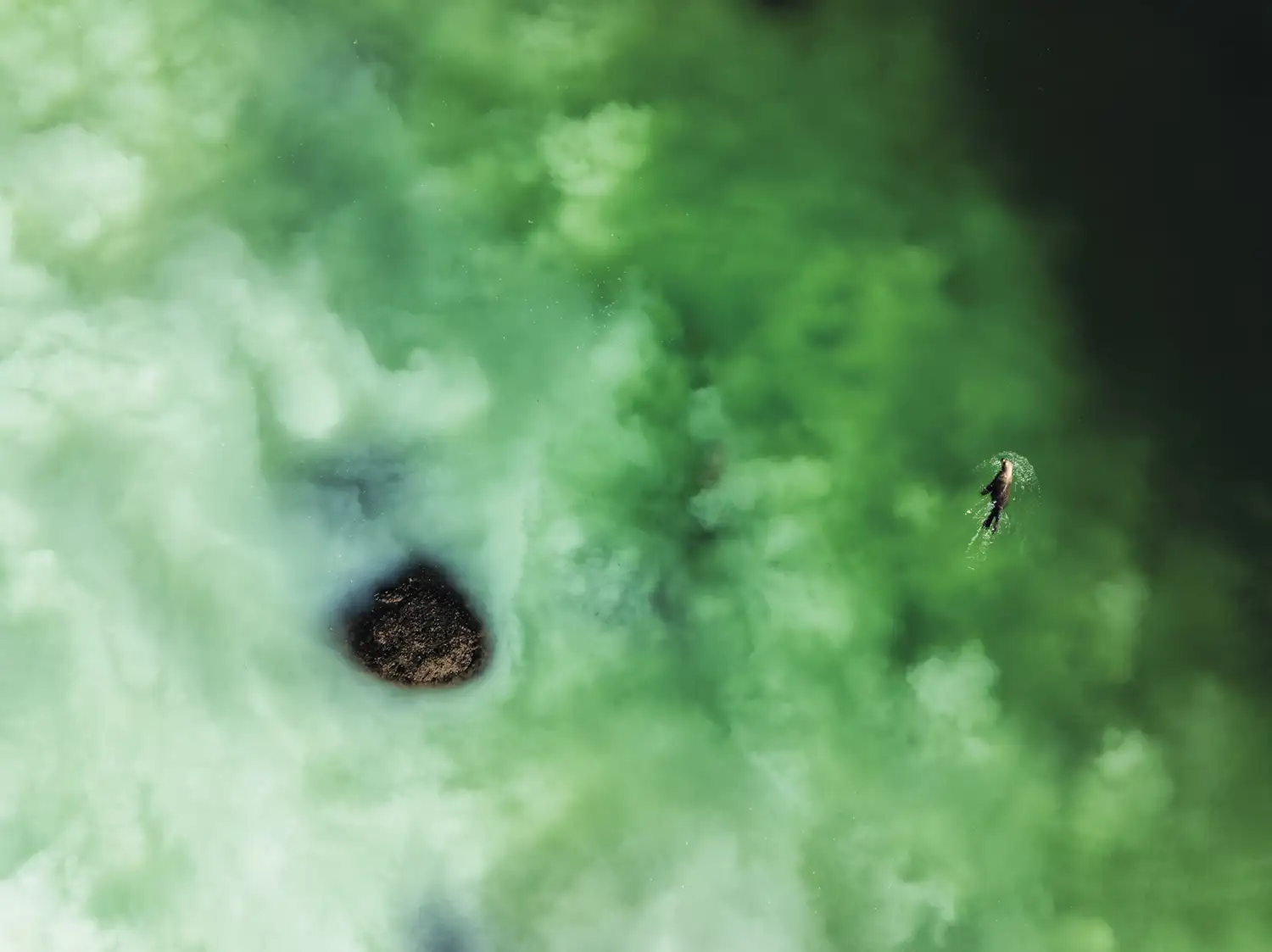 Las mejores imágenes del año 2024 según National Geographic