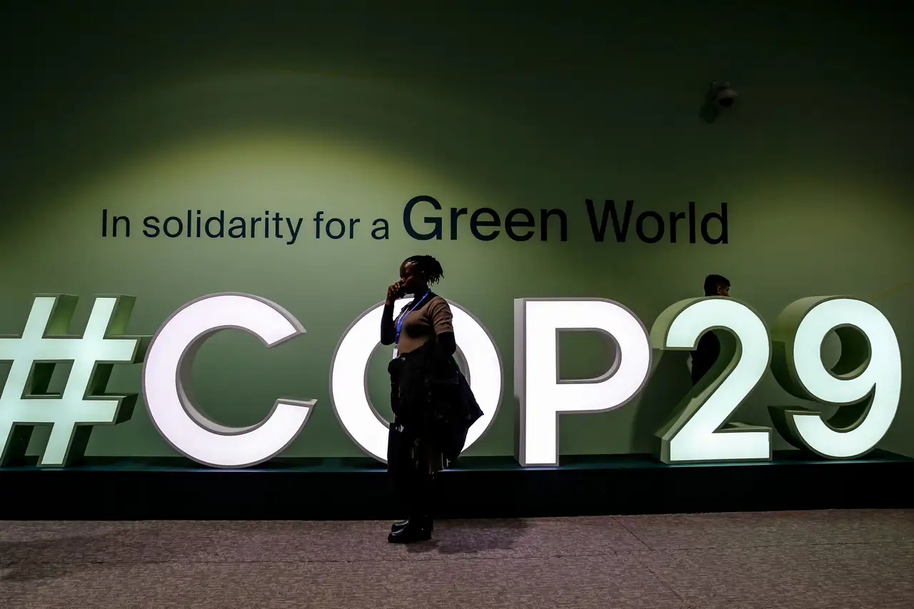 COP29