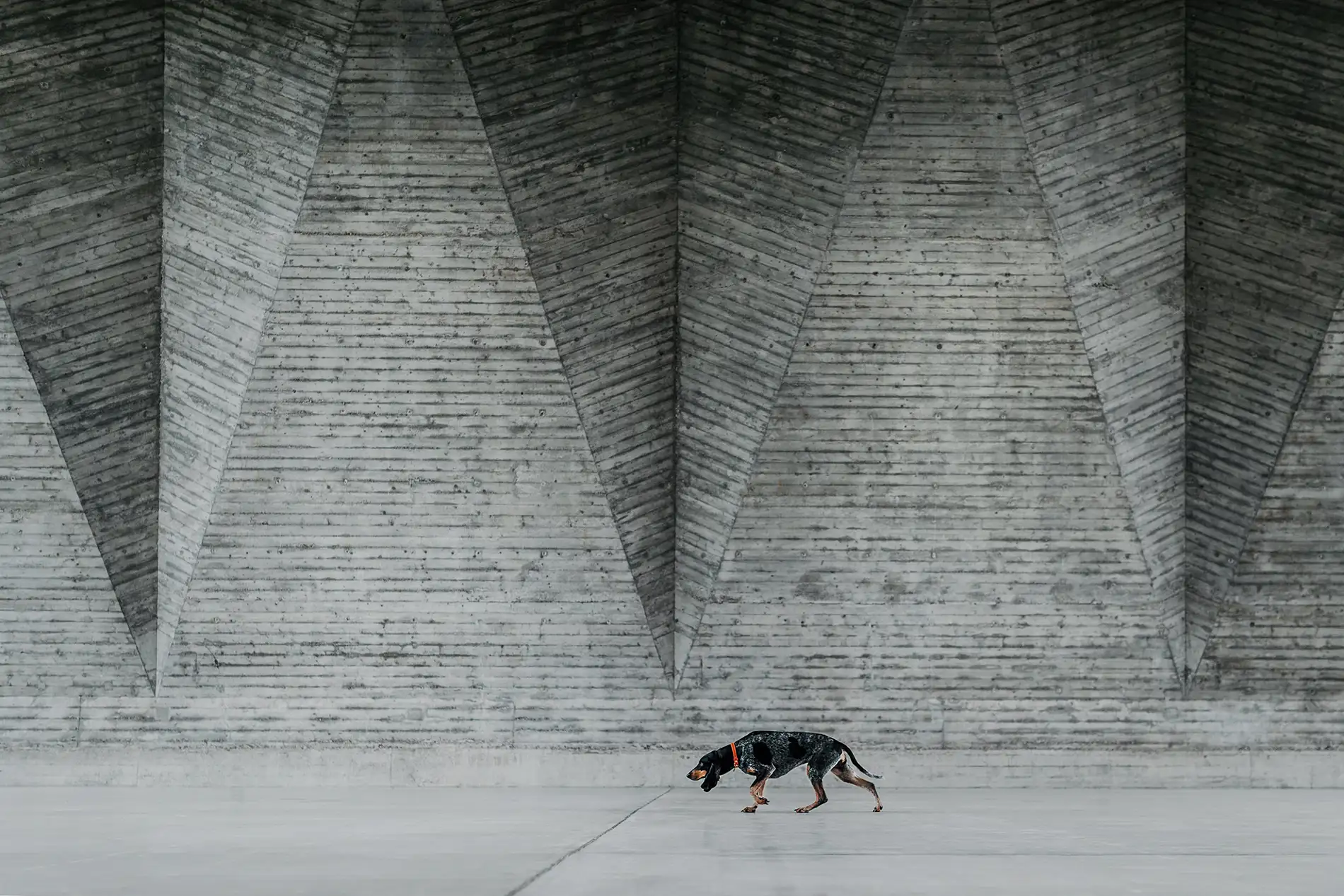 Cazando arquitectura