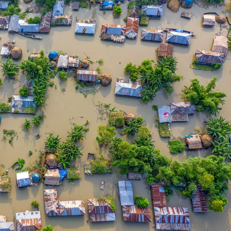 Cierre amargo de la COP29: ¿por qué el Acuerdo de Bakú es decepcionante?