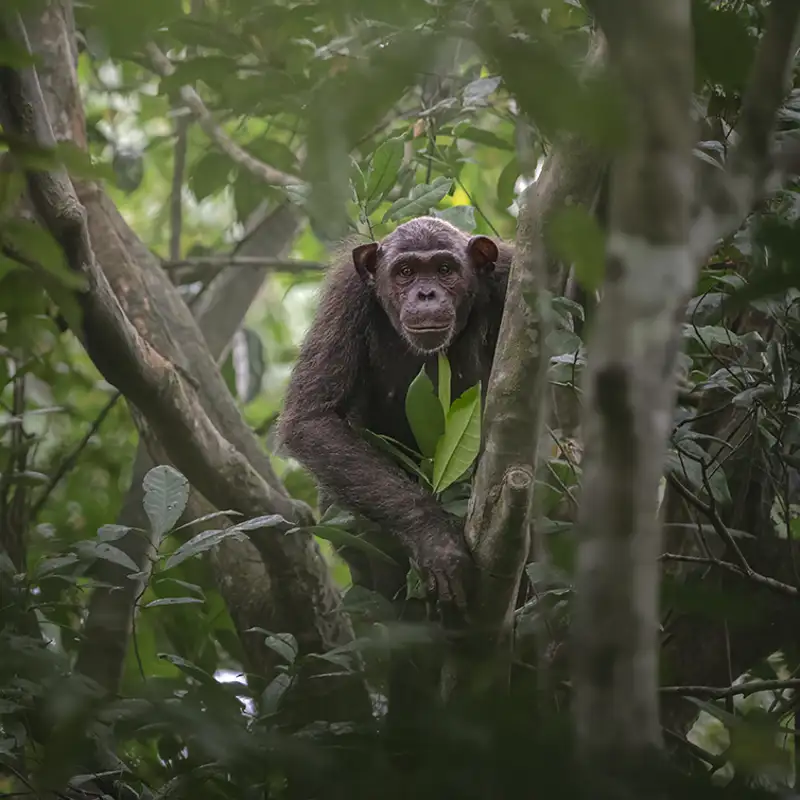 Las Mejores Fotograf as De National Geographic