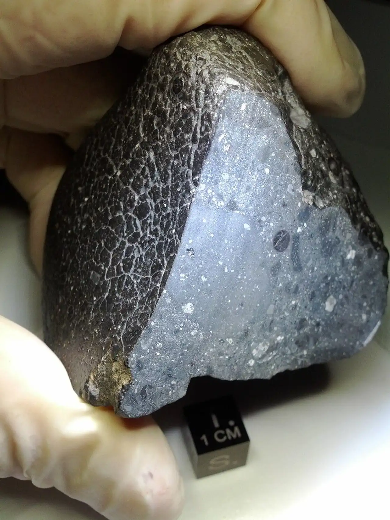 Meteorito (NWA) 7034 Belleza Negra Marte 