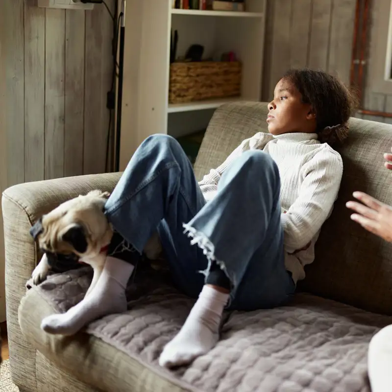 En una discusión, los perros se ponen de parte de la 'víctima'… aunque no siempre aciertan