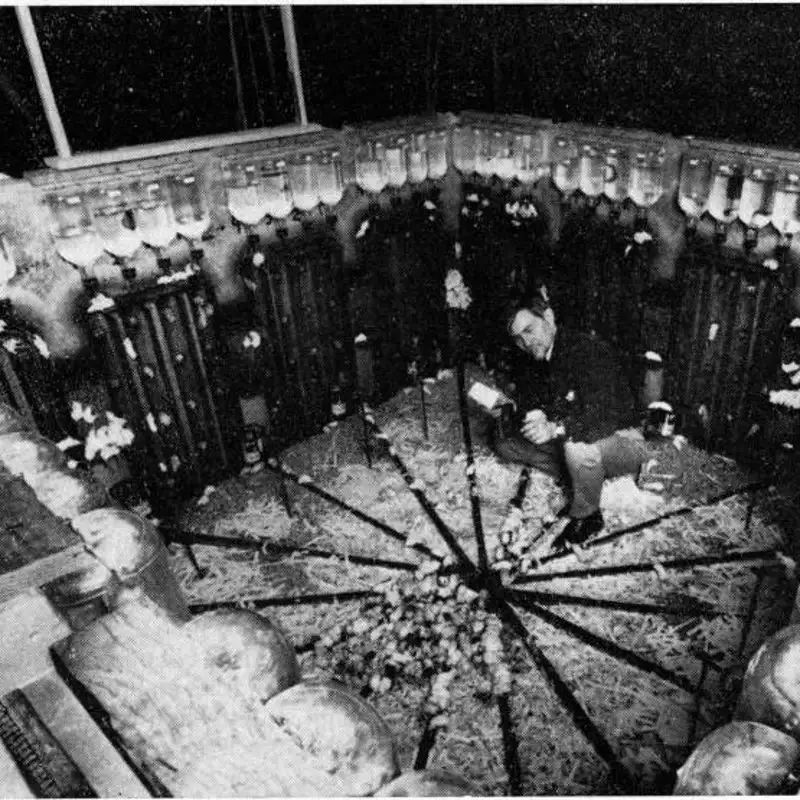 El terrible experimento Universo 25: Un paraíso para ratones convertido en infierno