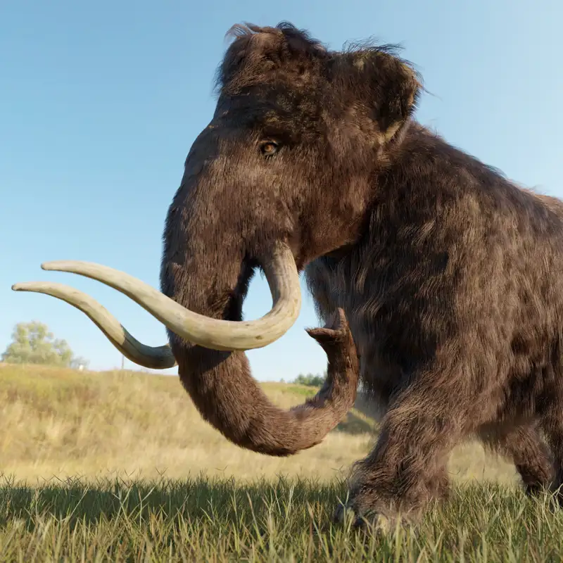 La dieta de los primeros americanos pudo contribuir a la extinción del mamut
