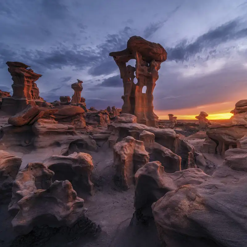 Maravillas de la naturaleza: de las tierras baldías del desierto al corzo de Guadalajara