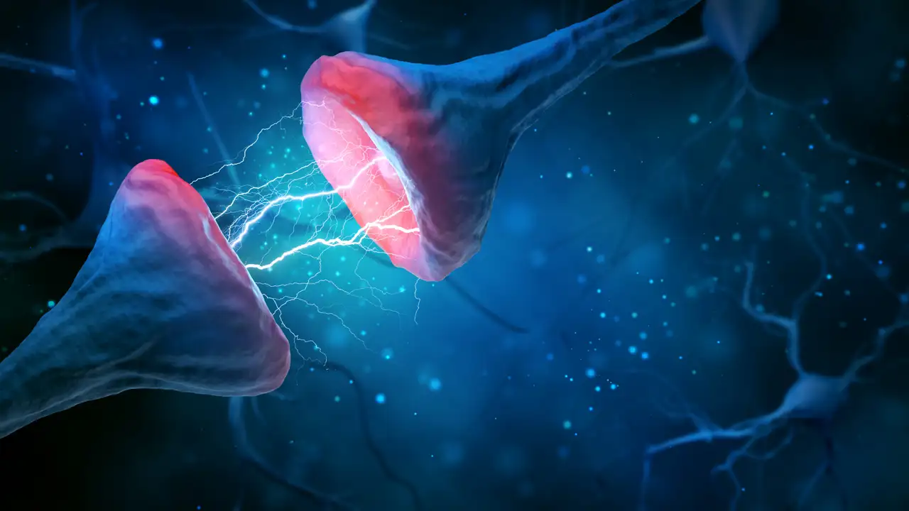 velocidad cerebro1