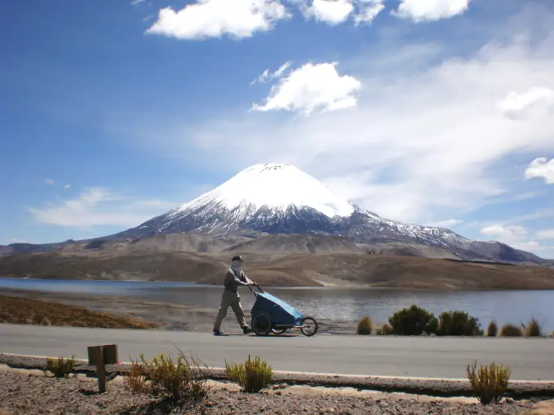12 Andes