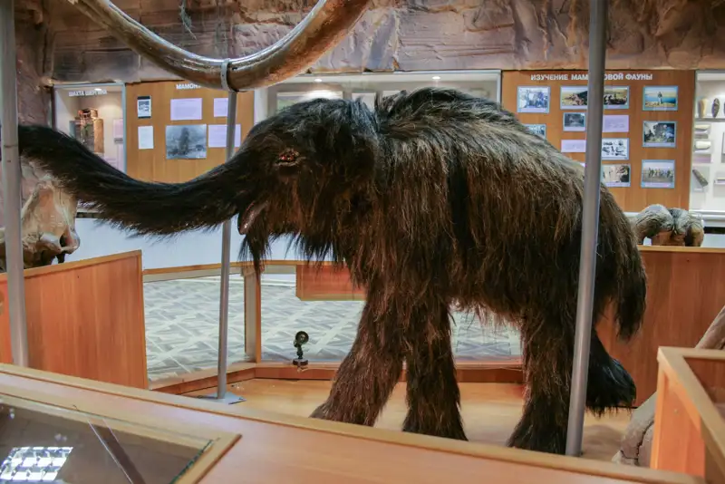 cria mamut