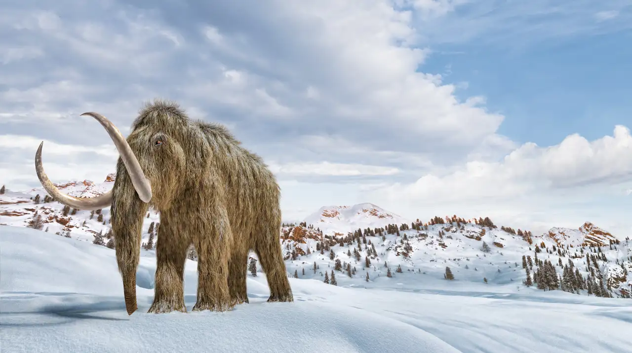 Mamut lanudo en un paraje nevado