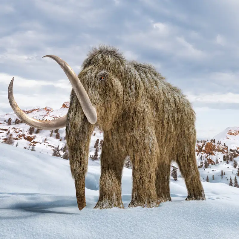 ¿Es posible revivir especies para salvar la biodiversidad? El sueño de la desextinción 