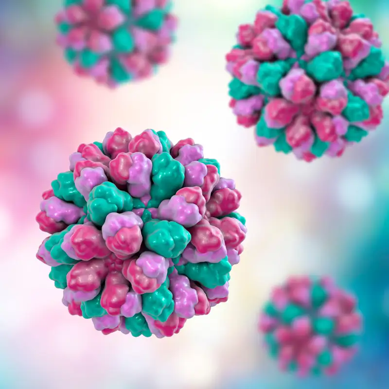 Norovirus: todo lo que necesitas saber sobre el preocupante 'virus del estómago'