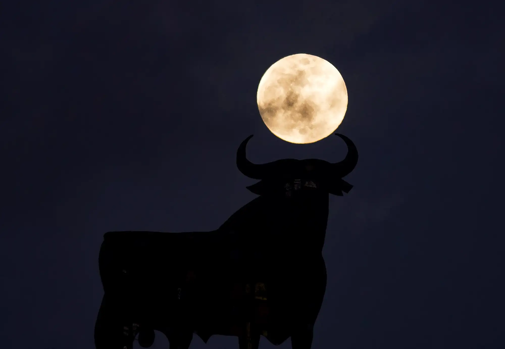 Toro de Osborne