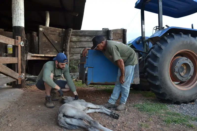 Peligro para la fauna