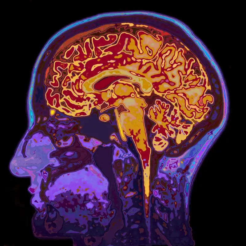 Un revolucionario chip inspirado en el cerebro aprende y corrige errores de forma autónoma