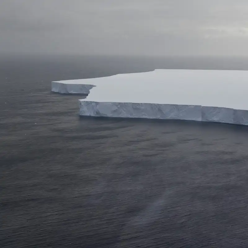 El iceberg más grande del mundo va a la deriva y podría impactar una isla rica en biodiversidad