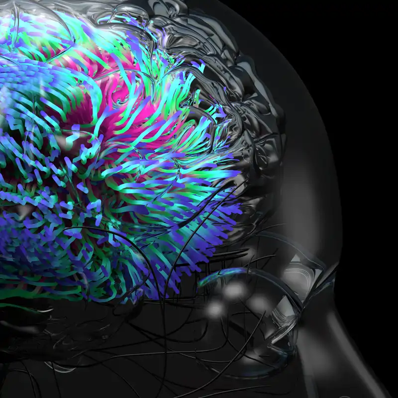 Confirman que los microplásticos penetran en el cerebro humano más que en cualquier otro órgano