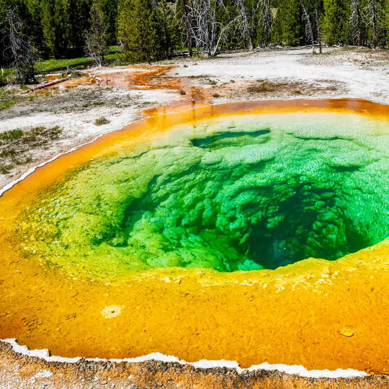 10 imágenes espectaculares publicadas este enero en National Geographic España