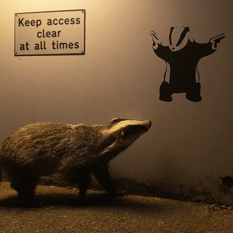 ¡El público ha hablado! Estos son los ganadores del Wildlife Photographer of the Year 2024