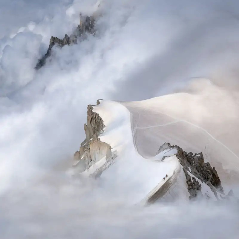Conoce a los ganadores del Sony World Photography Awards 2025