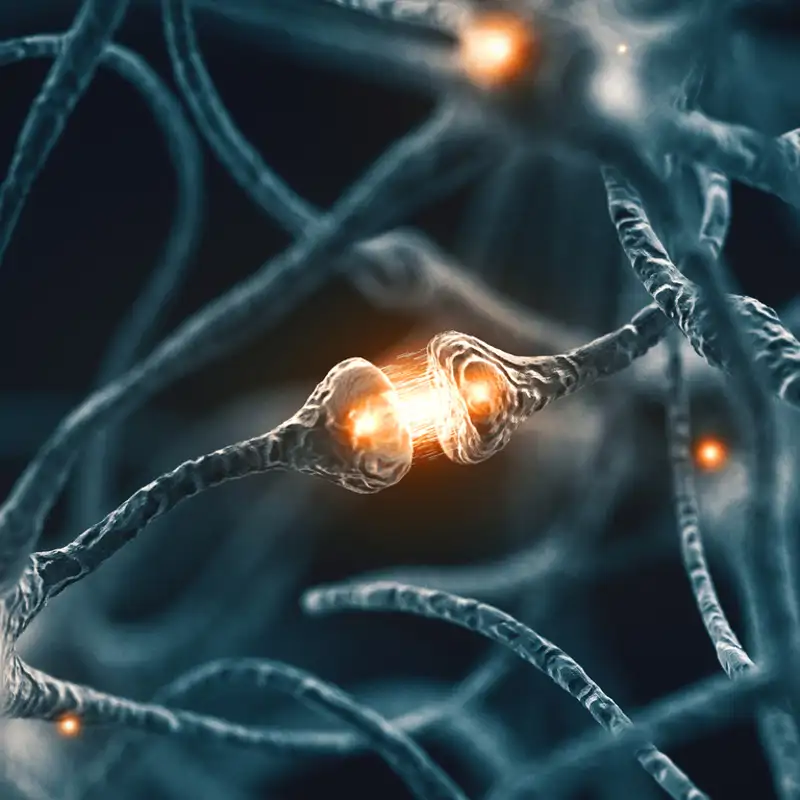 Todo lo que podrías encender con la electricidad generada por tu cerebro