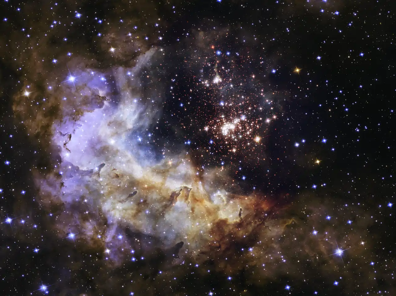 westerlund2