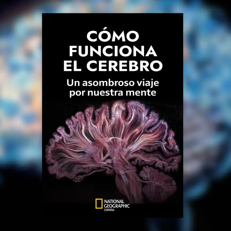 Como Funciona Cerebro