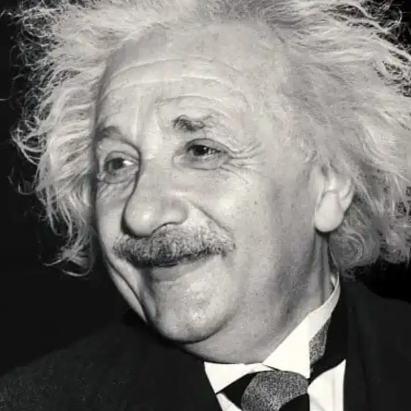 einstein perfil