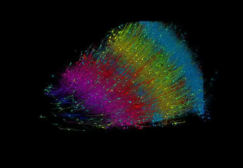 Neuronas baja resolución