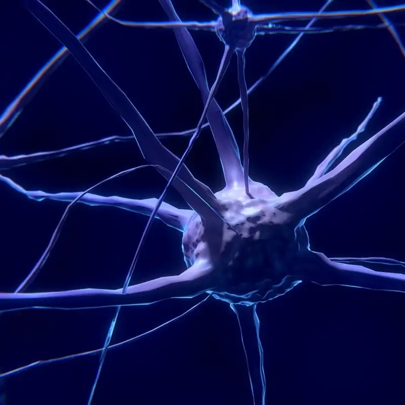¿Qué tan rápido envejece tu cerebro? Esta IA puede medirlo