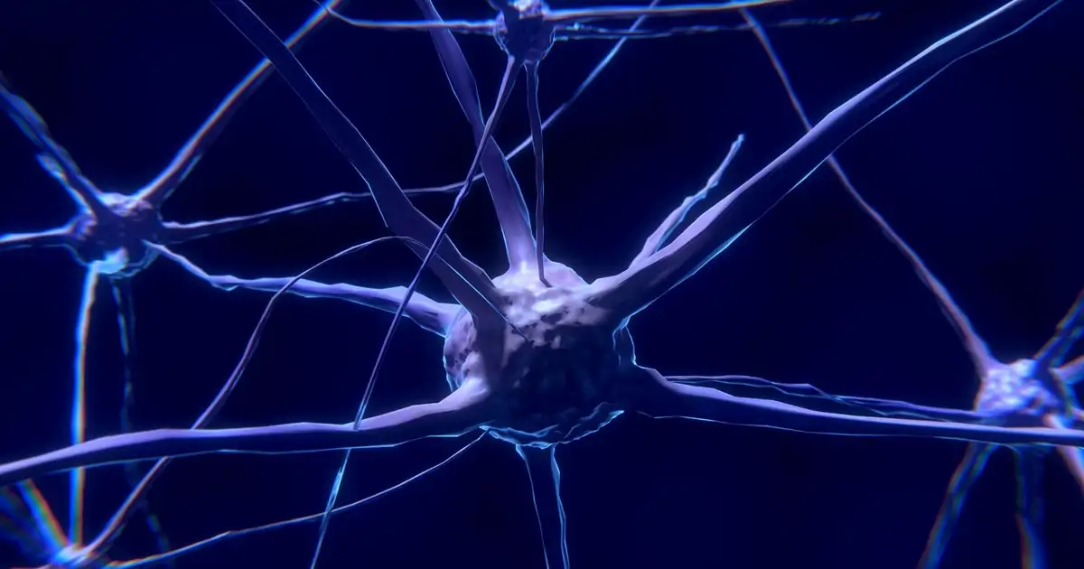 ¿Qué tan rápido envejece tu cerebro? Esta IA puede medirlo