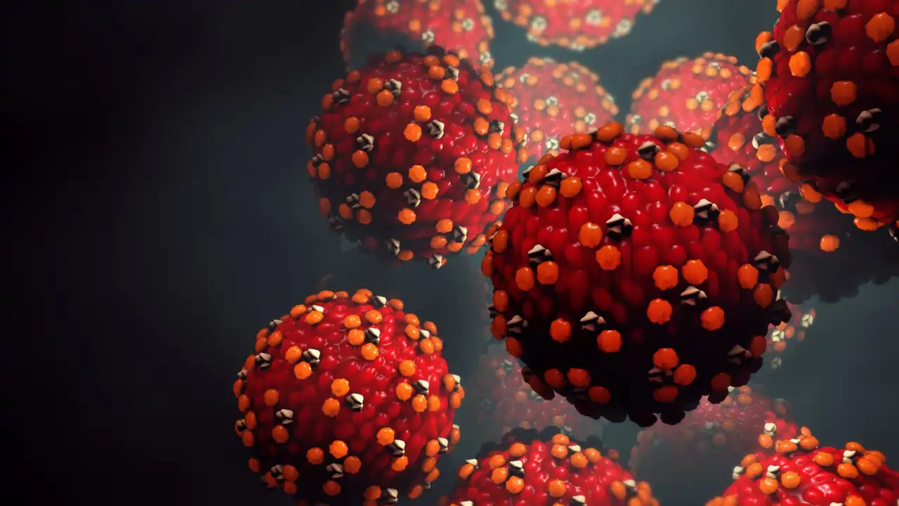 Sarampión virus