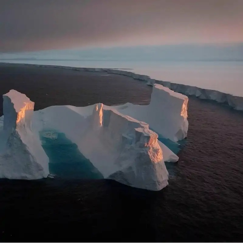 El iceberg A23a, el más grande del mundo, encalla frente a un paraíso de pingüinos